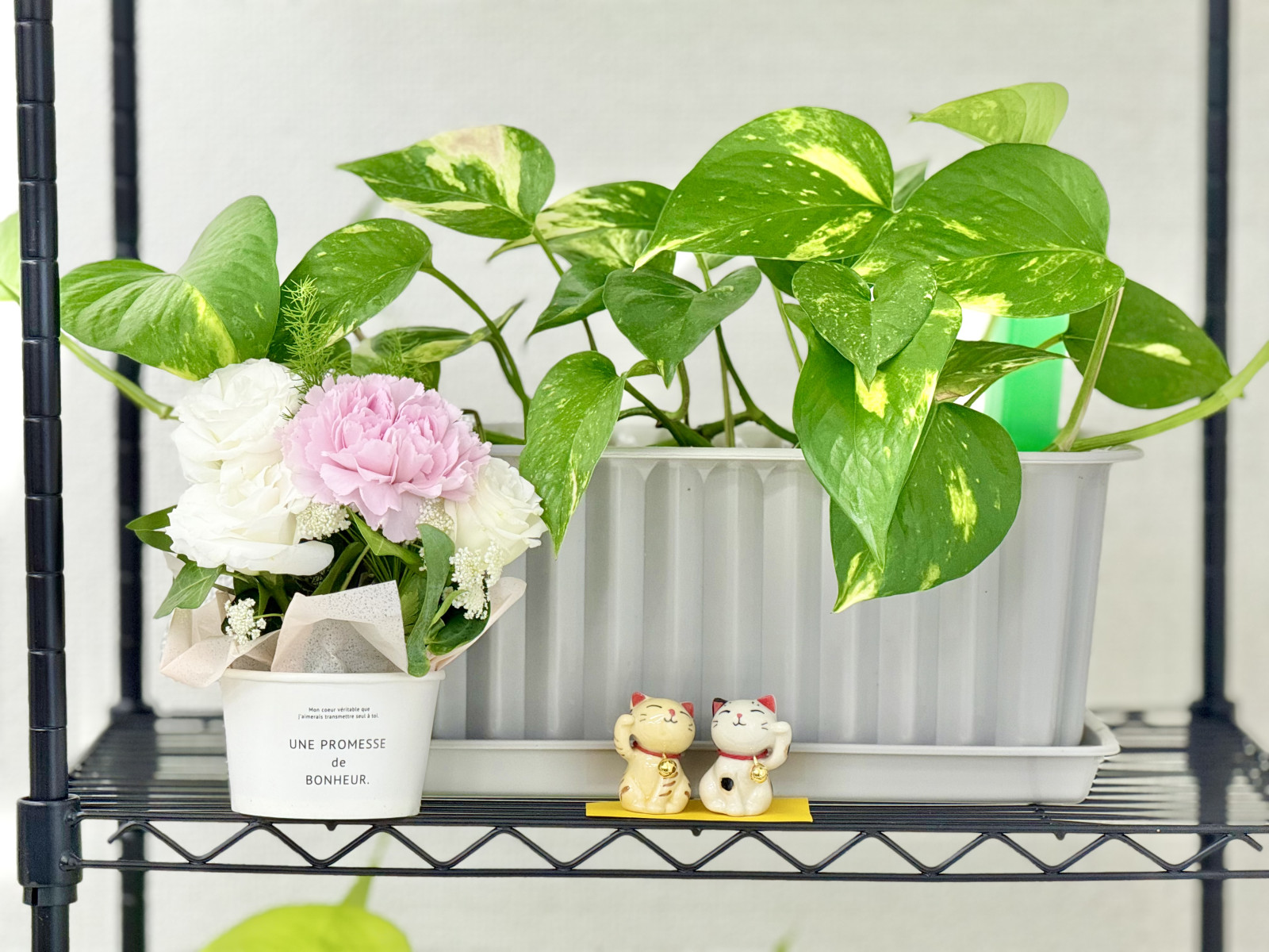 画像：サンプル